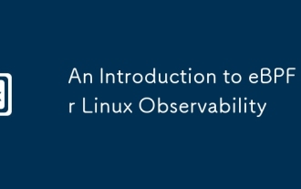 Linux 관찰 가능성을위한 EBPF 소개