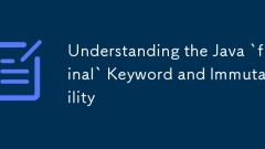 Verständnis des Java `Final` -Keywords und der Unveränderlichkeit