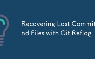 Git Reflog와 함께 잃어버린 커밋과 파일을 복구합니다