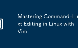 VIM을 사용하여 Linux에서 명령 줄 텍스트 편집 마스터 링