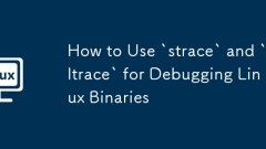 How to Use `strace` and `ltrace` for Debugging Linux Binaries
