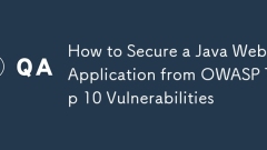 So sichern Sie eine Java -Webanwendung bei Owasp Top 10 Schwachstellen