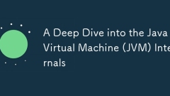 Ein tiefes Eintauchen in die Java Virtual Machine (JVM) -In Interna