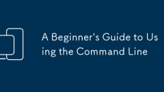 A Beginner's Guide to Using the Command Line
