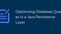 Optimierung von Datenbankabfragen in einer Java -Persistenzschicht