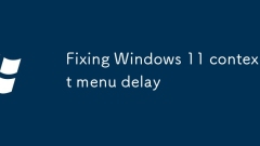 Windows 11 ???? ?? ?? ??