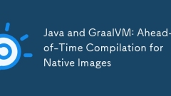 Java和Graalvm:本機圖像提前彙編