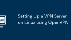 Setting Up a VPN Server on Linux using OpenVPN