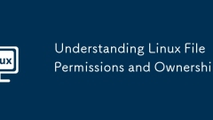 Understanding Linux File Permissions and Ownership