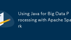 Using Java for Big Data Processing with Apache Spark
