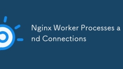 Proses dan sambungan pekerja nginx