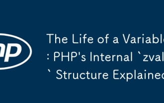 變量的壽命:PHP的內部' Zval”結構解釋了