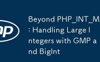 超越php_int_max:用GMP和BIGINT处理大整数