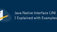 Java Native Interface (JNI) Explained with Examples