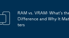 Ram vs. Vram : ???? ???? ??? ??