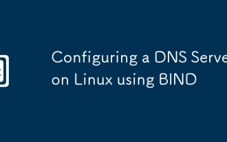 使用綁定在Linux上配置DNS服務(wù)器