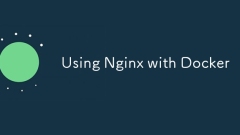 Menggunakan Nginx dengan Docker