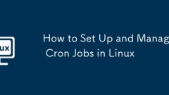 How to Set Up and Manage Cron Jobs in Linux