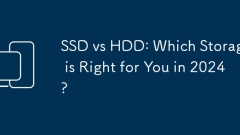 SSD vs HDD : 2024 ?? ?? ????? ??????