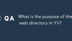 What is the purpose of the web directory in Yii?