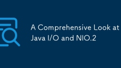 A Comprehensive Look at Java I/O and NIO.2