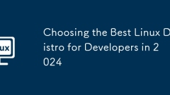Choosing the Best Linux Distro for Developers in 2024
