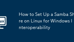 How to Set Up a Samba Share on Linux for Windows Interoperability