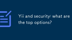 Yii and security: what are the top options?