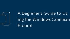 A Beginner's Guide to Using the Windows Command Prompt