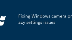 Behebung von Windows -Kamera -Datenschutzeinstellungen Probleme
