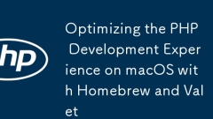 Optimisation de l'expérience de développement PHP sur MacOS avec homebrew et valet