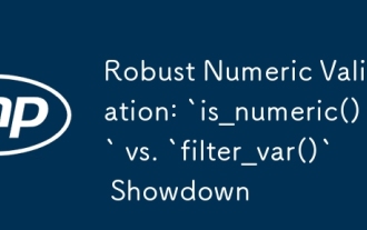 强大的数字验证:`is_numeric()`vs.` filter_var()