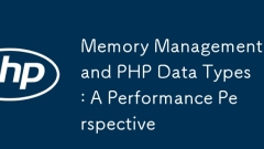 Gestion de la mémoire et types de données PHP: une perspective de performance