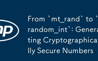 從`mt_rand`到`random_int`:生成密碼固定的數字