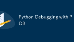 Python Debugging with PDB