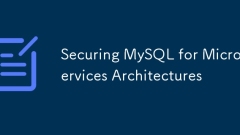 確保MySQL用於微服務架構