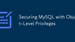 Sécuriser MySQL avec des privilèges au niveau de l'objet