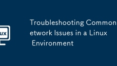 Troubleshooting Common Network Issues in a Linux Environment