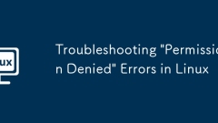 Troubleshooting 'Permission Denied' Errors in Linux