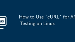 How to Use `cURL` for API Testing on Linux