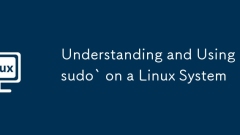 Understanding and Using `sudo` on a Linux System