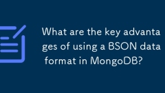 What are the key advantages of using a BSON data format in MongoDB?