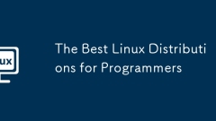 Die besten Linux -Verteilungen für Programmierer
