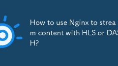 Bagaimana cara menggunakan nginx untuk menstrim kandungan dengan HLS atau dash?