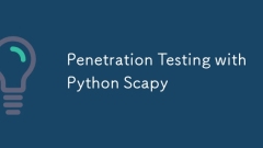 Penetration Testing with Python Scapy