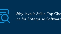 Why Java is Still a Top Choice for Enterprise Software