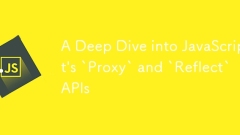 JavaScript의`proxy`와`반사 'API에 대한 깊은 다이빙