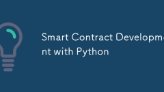Smart Contract Development with Python