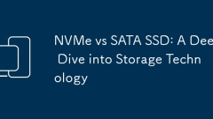 NVME vs SATA SSD:深入研究存儲技術