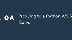 Proxying ke pelayan WSGI Python